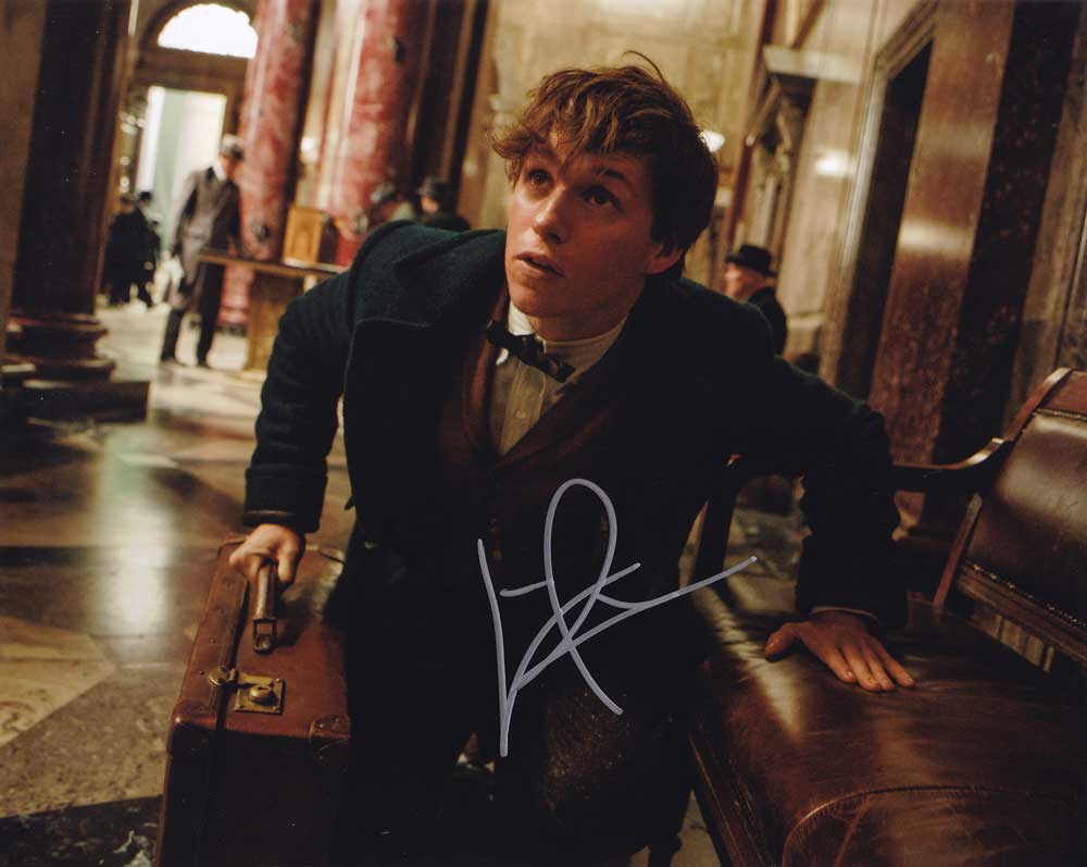 Eddie Redmayne in-person autographed photo